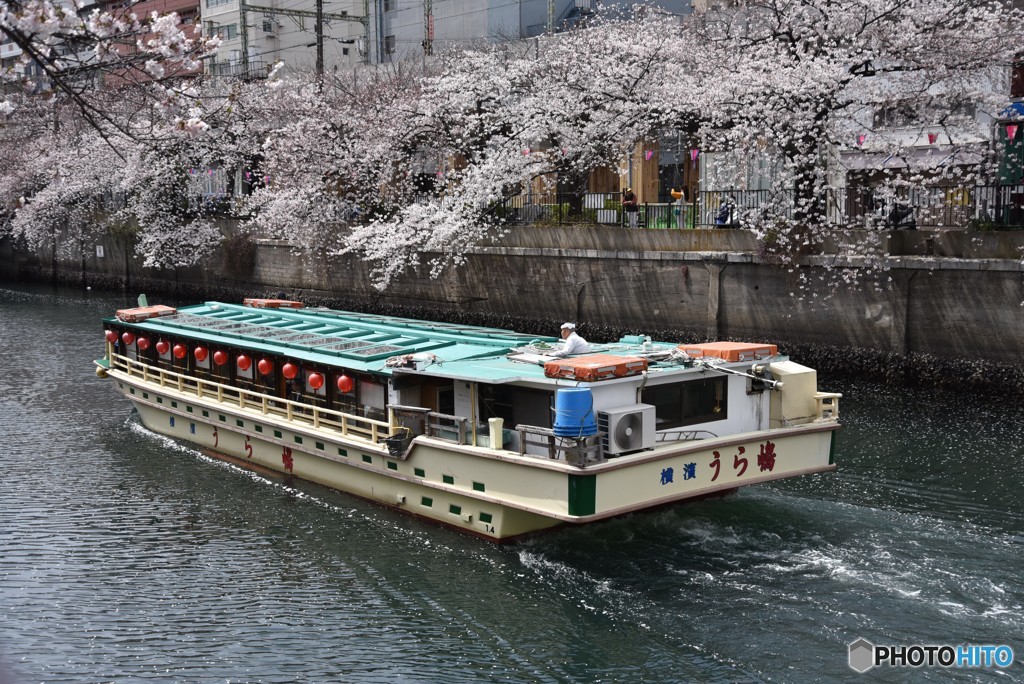 春うらら