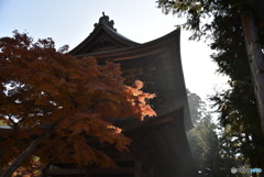 鎌倉　円覚寺