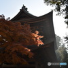 鎌倉　円覚寺