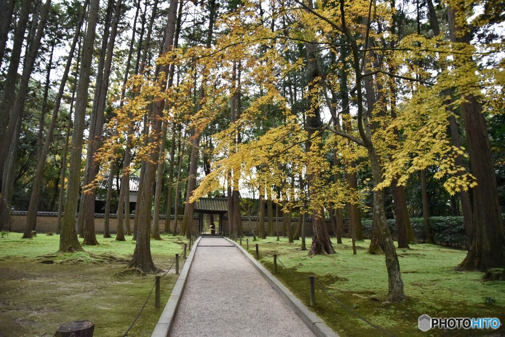 鑑真大和上の秋景色