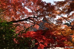 紅葉の長寿寺