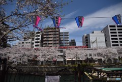 どちらが韋駄天