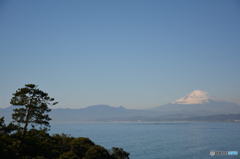 湘南海岸からの富士山