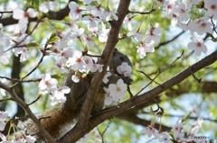 両手に花