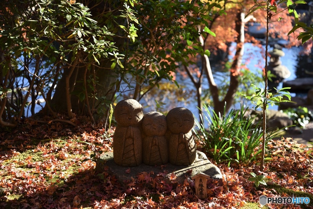 朝日を浴びて