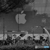 Apple Tree