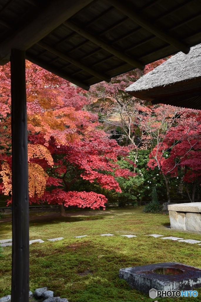 鎌倉長寿寺の紅葉
