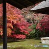 鎌倉長寿寺の紅葉