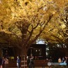 上を向いて歩こう