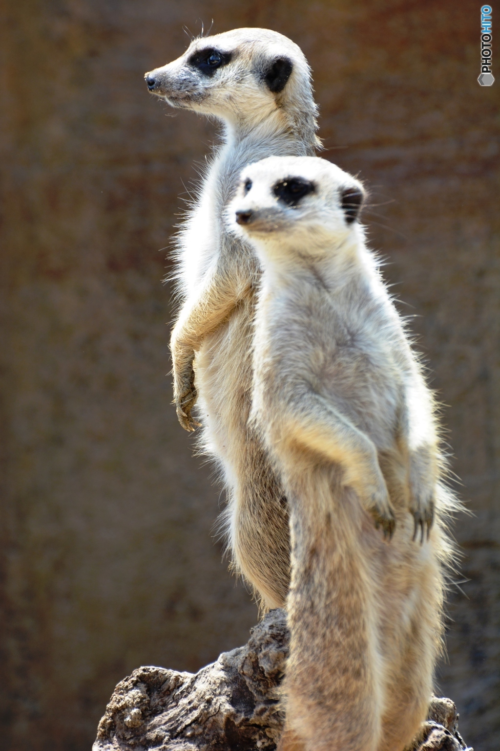 アッチムイテホイ