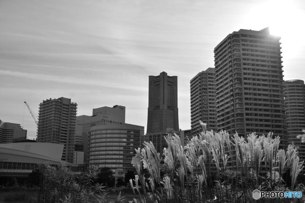 横浜みなとみらい地区