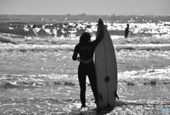 Surfer Girl