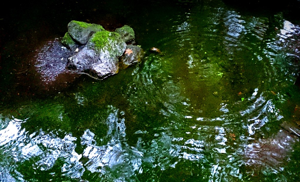 雨