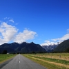 Fox Glacier