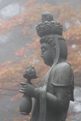 霧に色づく