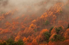 冷え込む朝