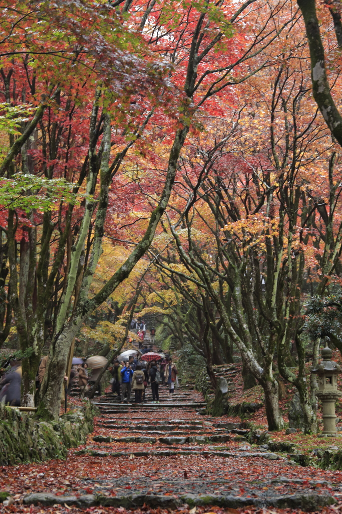鶏足寺