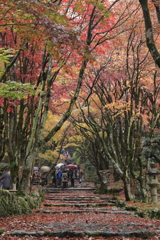 鶏足寺