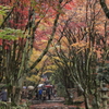 鶏足寺