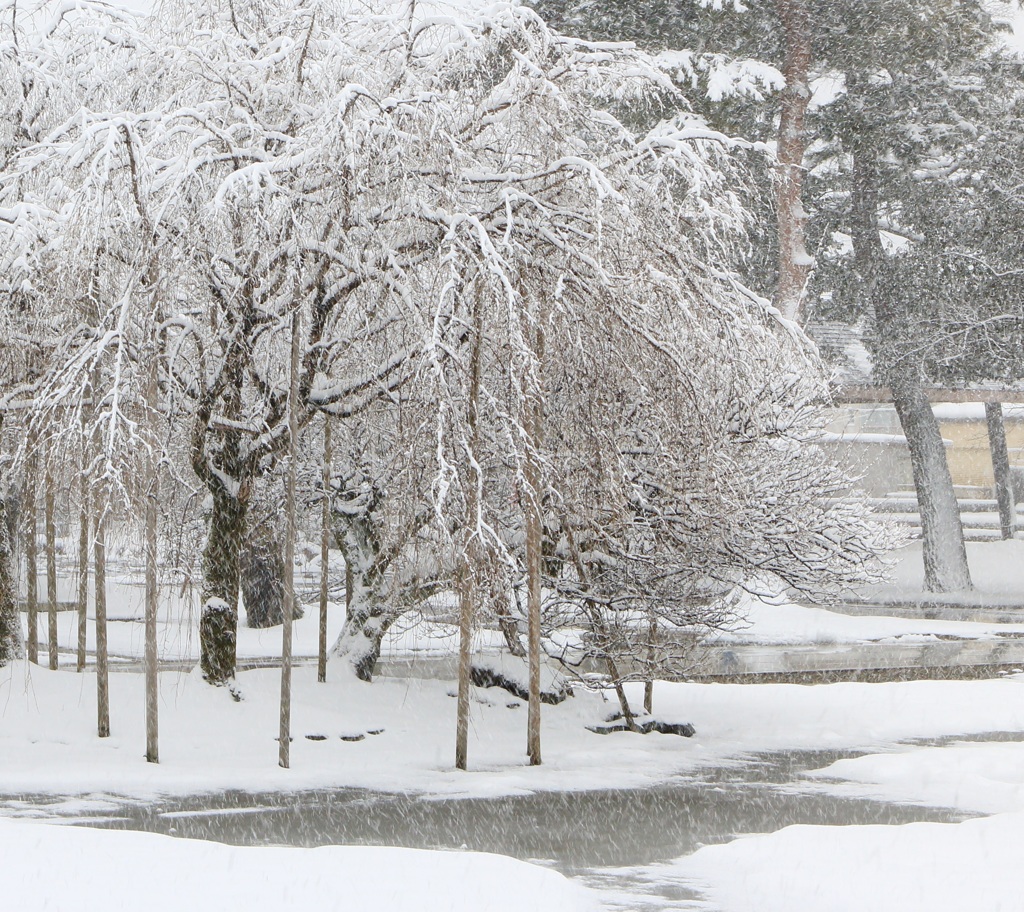 大雪