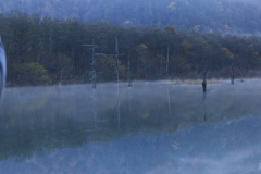 大正池