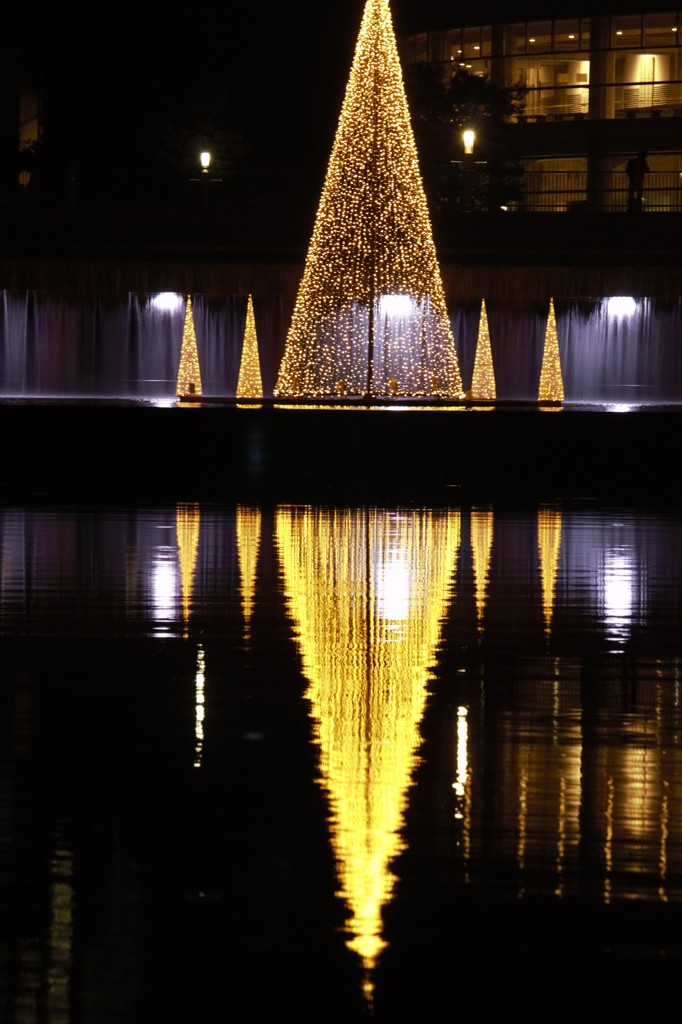 環水公園ライトアップ