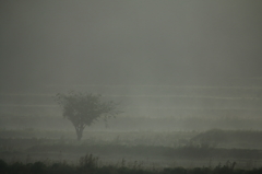 foggy