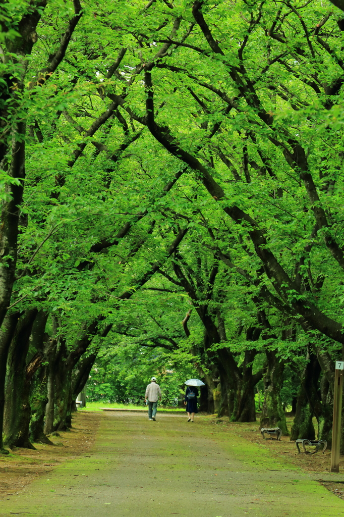 良い距離感で