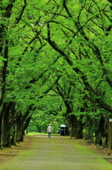 良い距離感で