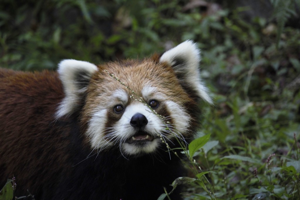 いつまでいるの？