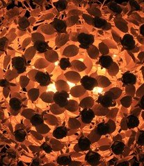 flower light