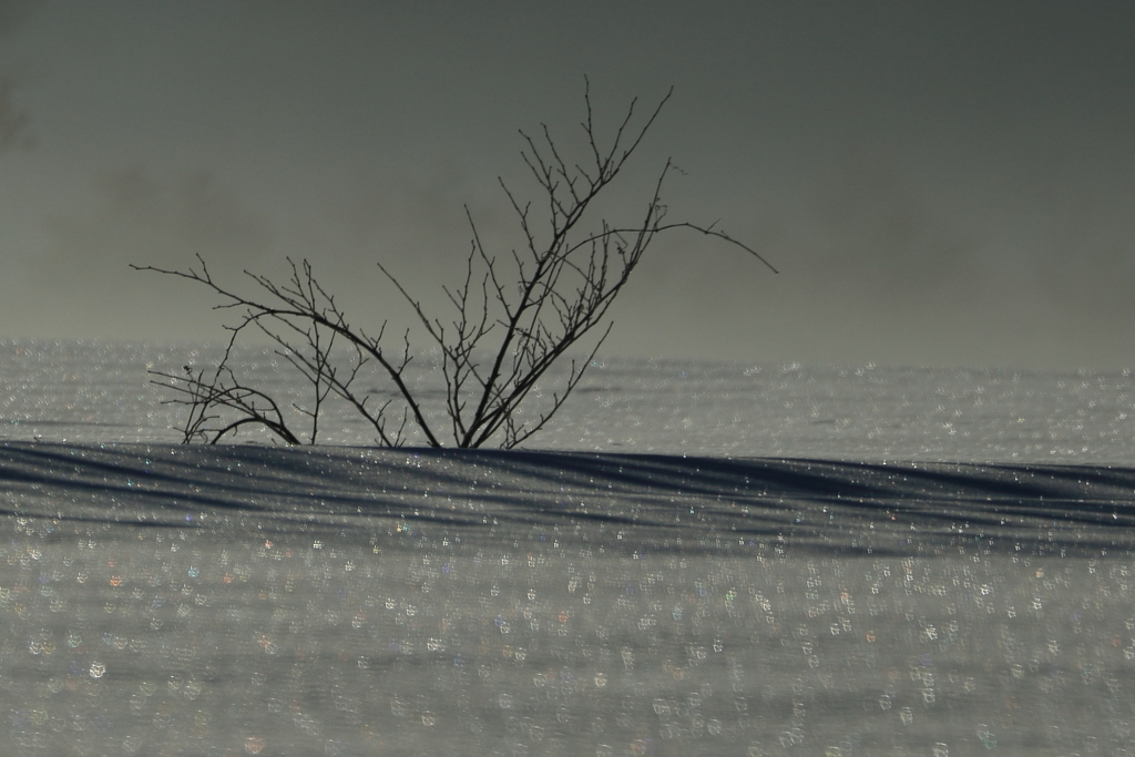 winter morning