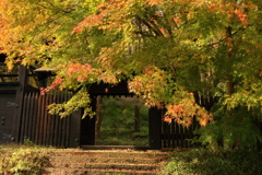小岩獄城址公園
