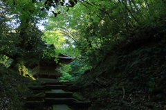森の奥に