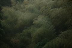 二上山