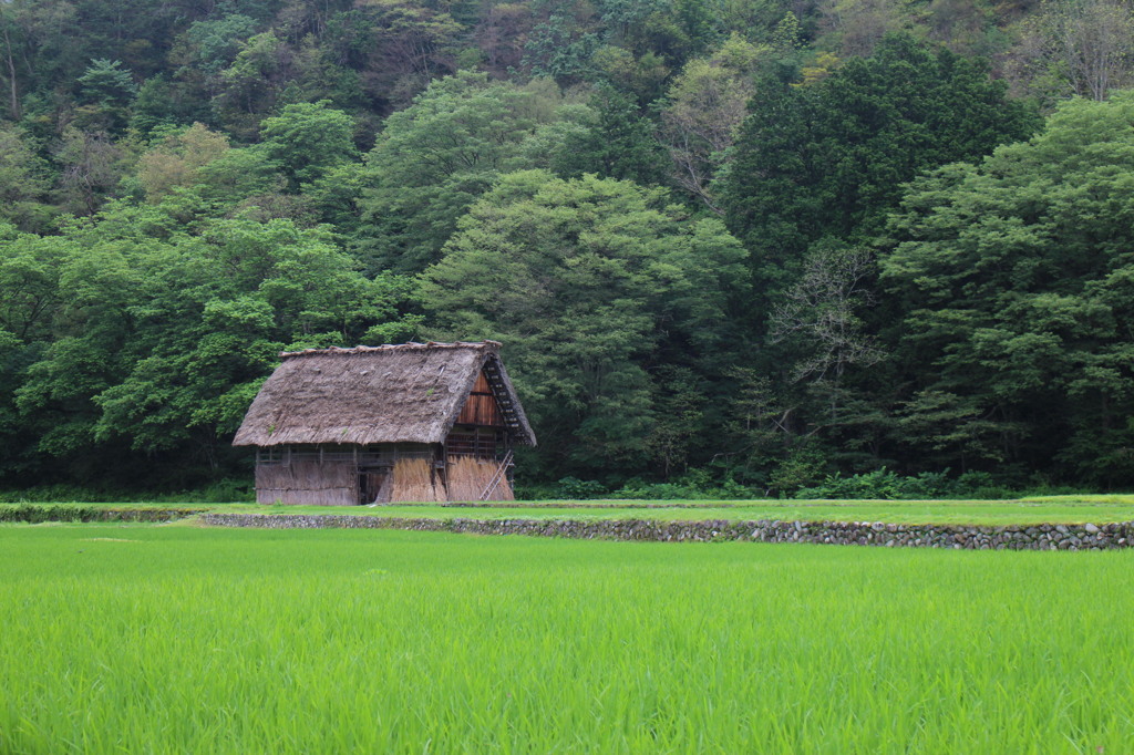 白川郷