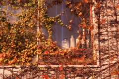 bottle