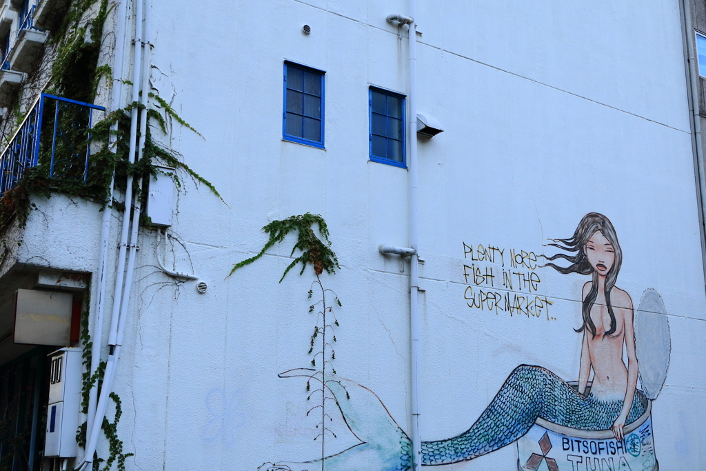 mermaid in the wall