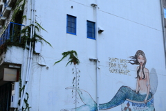 mermaid in the wall
