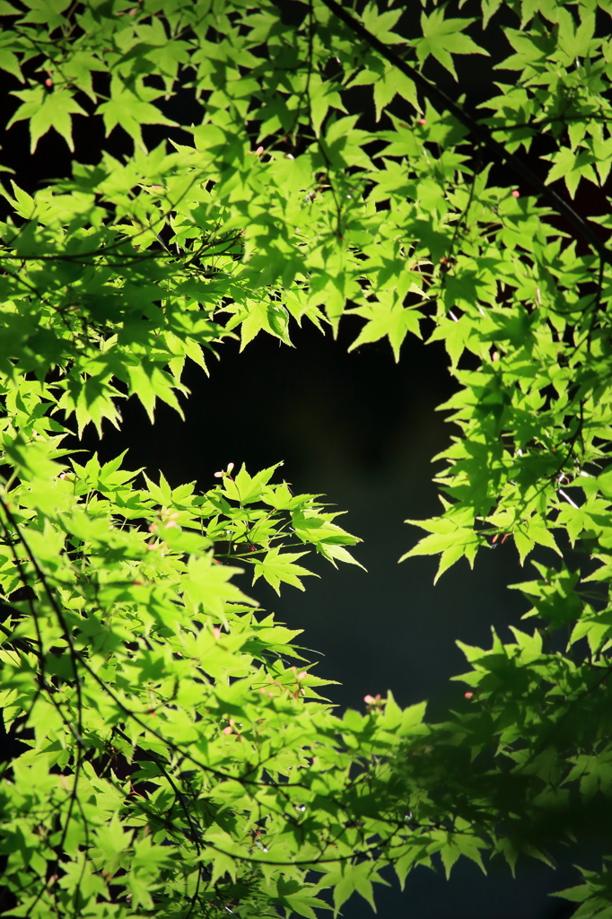 green green