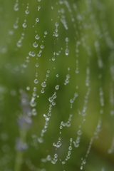雨あがる