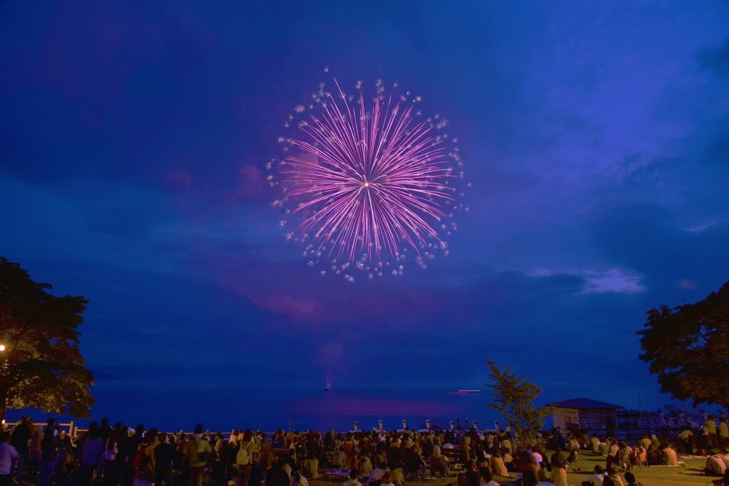 夜空に花火