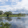 公園の風景