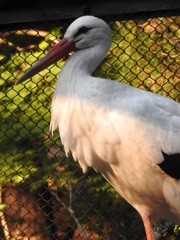 盛岡市動物公園