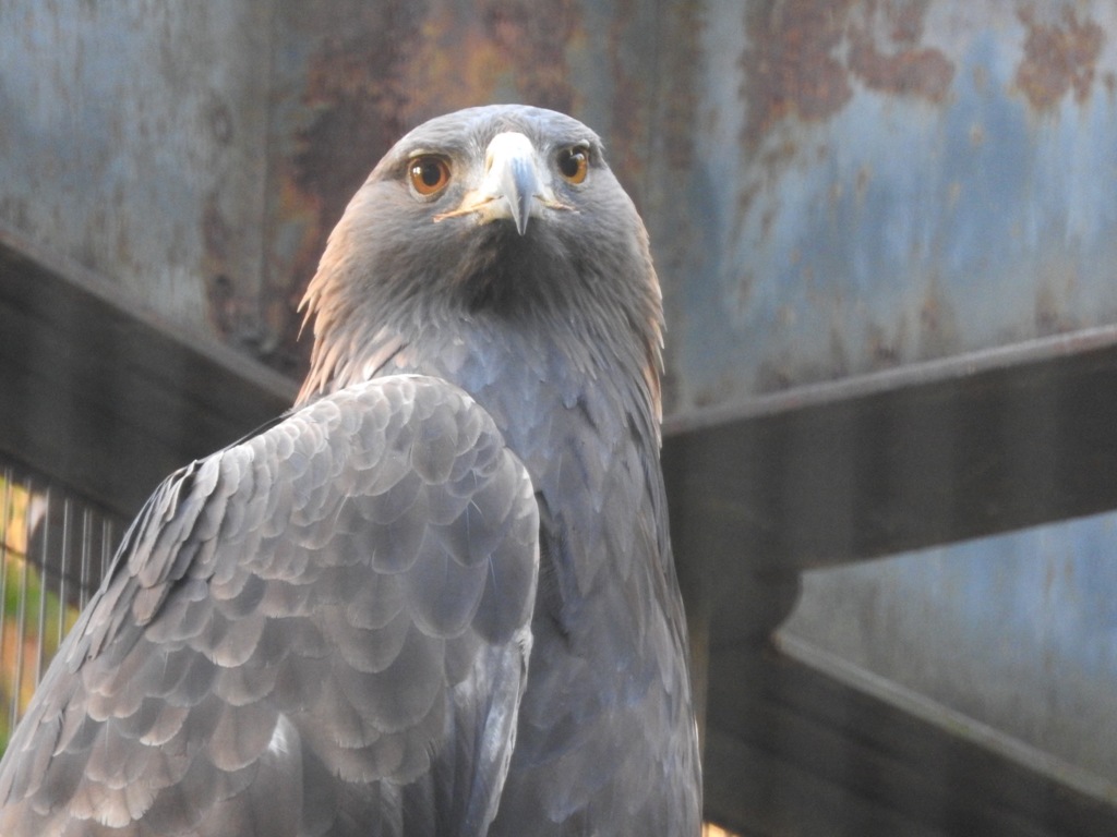 盛岡市動物公園