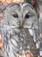盛岡市動物公園