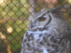 盛岡市動物公園