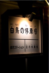 宮沢賢治童話村生誕120周年記念ライトアップ