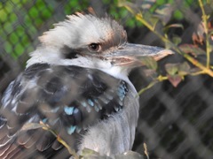 盛岡市動物公園