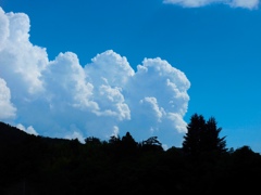 夏雲